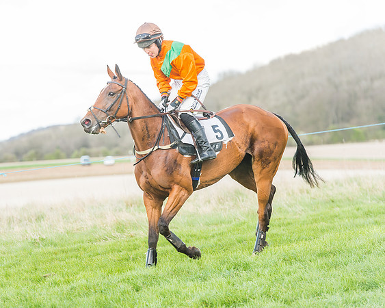 Race 5 - Southern Grand National-73