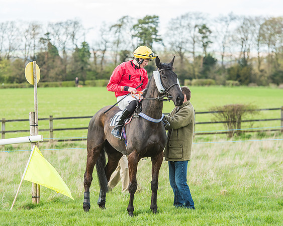 Race 5 - Southern Grand National-75