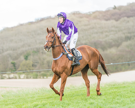 Race 5 - Southern Grand National-76