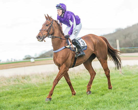Race 5 - Southern Grand National-77