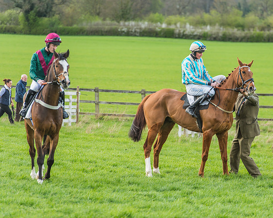 Race 5 - Southern Grand National-78