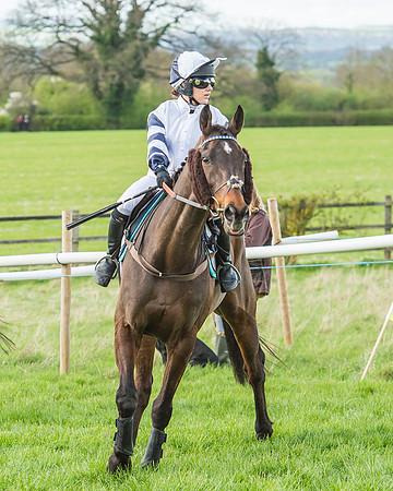 Race 5 - Southern Grand National-79