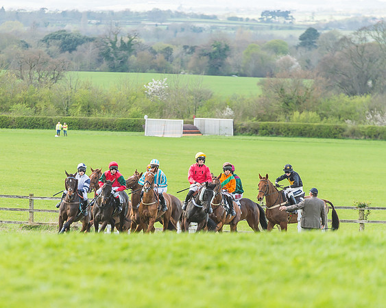Race 5 - Southern Grand National-80