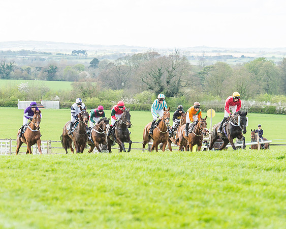 Race 5 - Southern Grand National-81