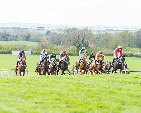 Race 5 - Southern Grand National-82