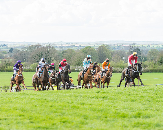 Race 5 - Southern Grand National-84