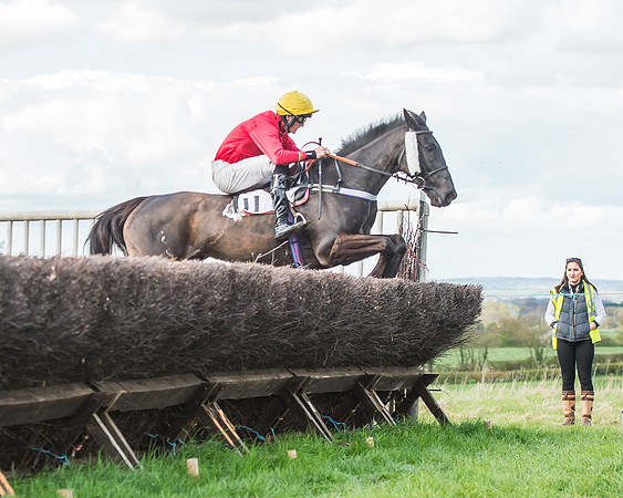 Race 5 - Southern Grand National-85