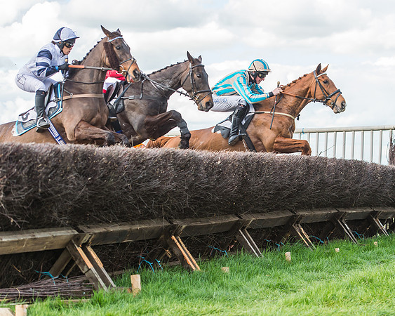 Race 5 - Southern Grand National-86