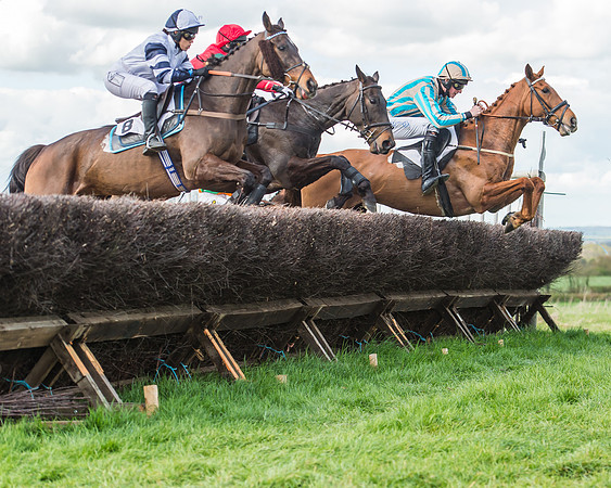 Race 5 - Southern Grand National-87