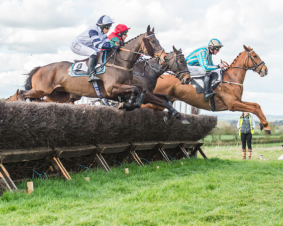 Race 5 - Southern Grand National-88