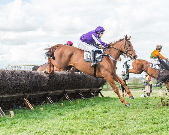 Race 5 - Southern Grand National-91