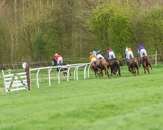 Race 5 - Southern Grand National-92