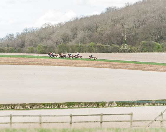 Race 5 - Southern Grand National-93