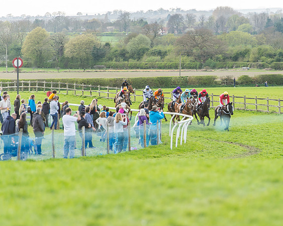 Race 5 - Southern Grand National-94
