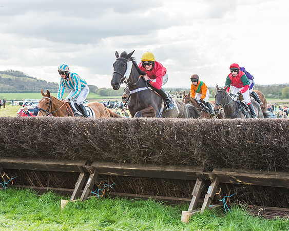 Race 5 - Southern Grand National-96