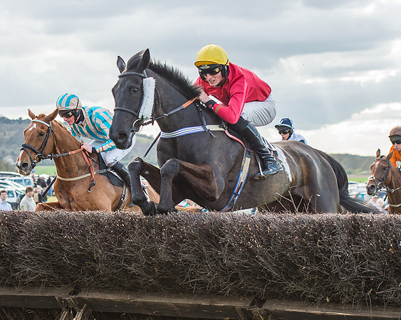 Race 5 - Southern Grand National-98-2