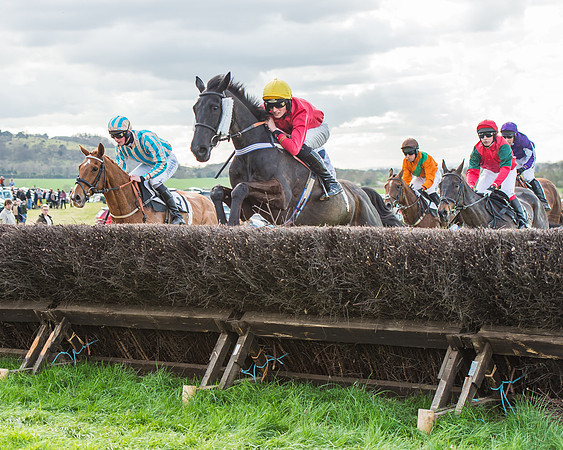 Race 5 - Southern Grand National-97