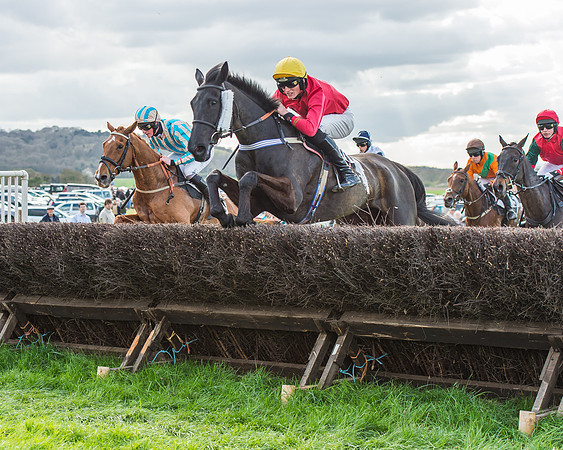Race 5 - Southern Grand National-98