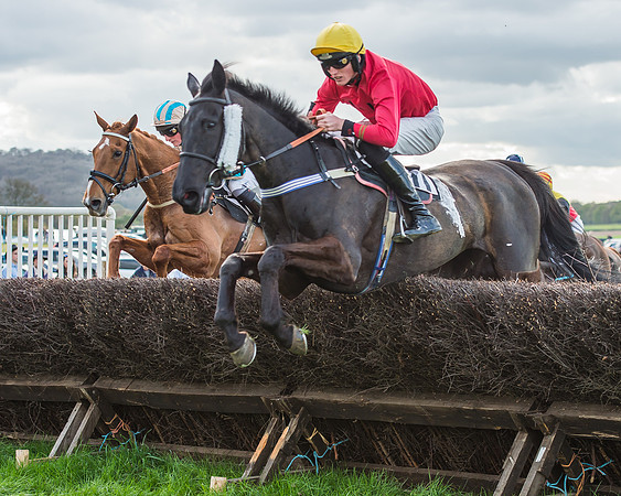 Race 5 - Southern Grand National-99-2