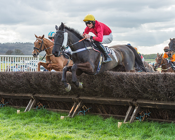 Race 5 - Southern Grand National-99
