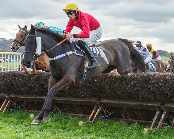 Race 5 - Southern Grand National-100