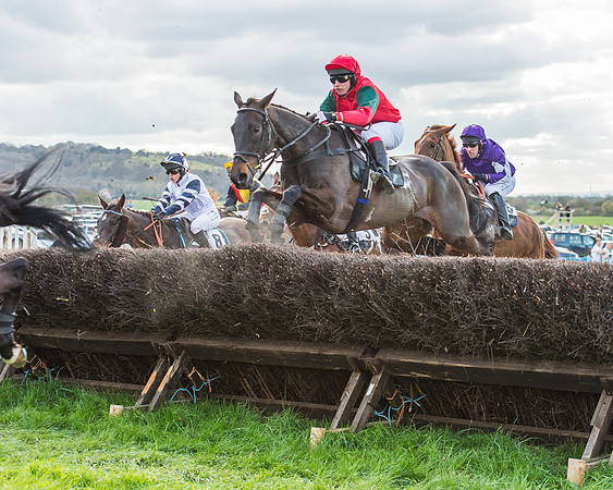 Race 5 - Southern Grand National-101