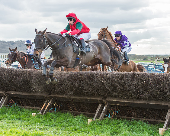 Race 5 - Southern Grand National-102