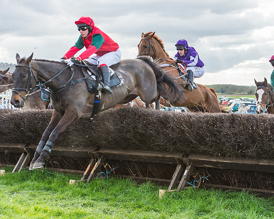 Race 5 - Southern Grand National-103