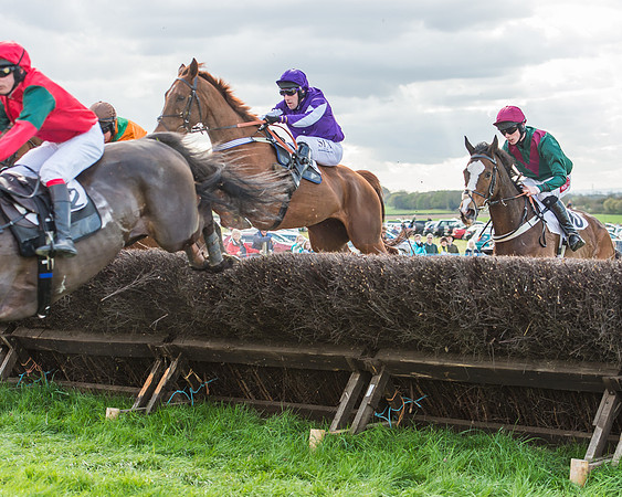 Race 5 - Southern Grand National-104