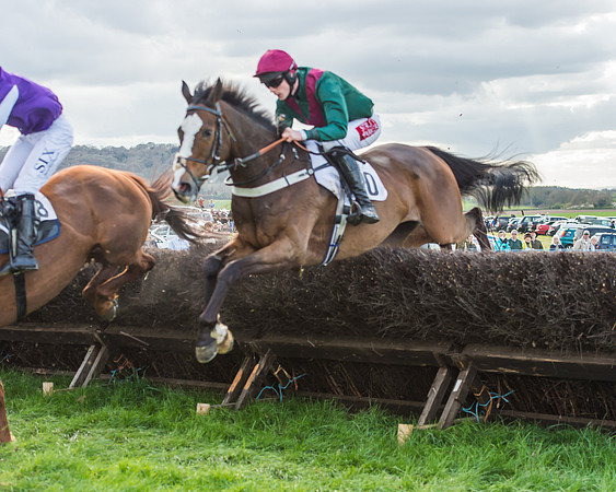 Race 5 - Southern Grand National-106