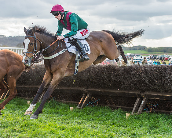 Race 5 - Southern Grand National-107