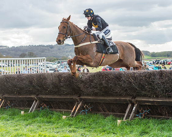 Race 5 - Southern Grand National-108