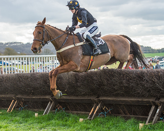 Race 5 - Southern Grand National-109