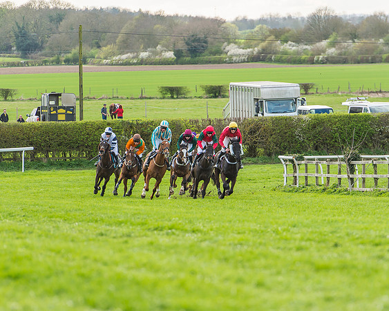 Race 5 - Southern Grand National-110