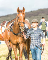 Race 6 - Open Maiden -2