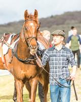 Race 6 - Open Maiden -3