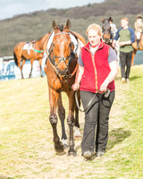 Race 6 - Open Maiden -4
