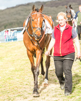 Race 6 - Open Maiden -5