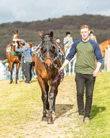 Race 6 - Open Maiden -8