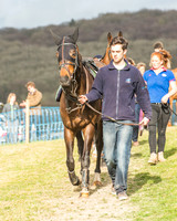 Race 6 - Open Maiden -11