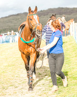 Race 6 - Open Maiden -18