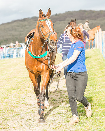 Race 6 - Open Maiden -18