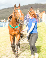 Race 6 - Open Maiden -19