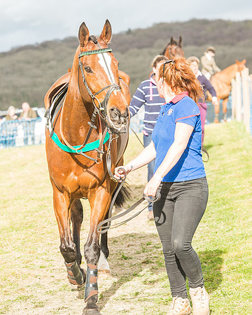 Race 6 - Open Maiden -19