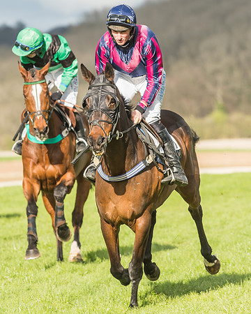 Race 6 - Open Maiden -32