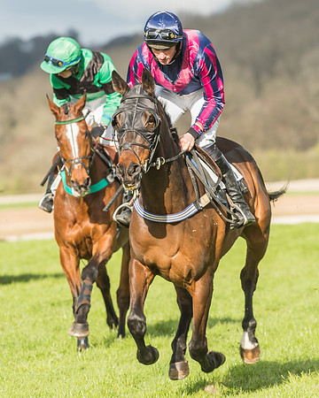 Race 6 - Open Maiden -33