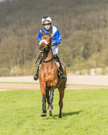 Race 6 - Open Maiden -34