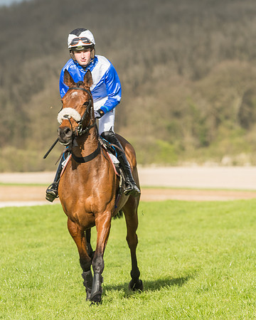 Race 6 - Open Maiden -38