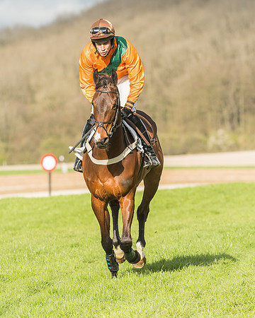Race 6 - Open Maiden -40