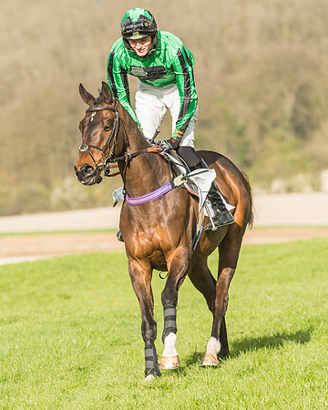 Race 6 - Open Maiden -49